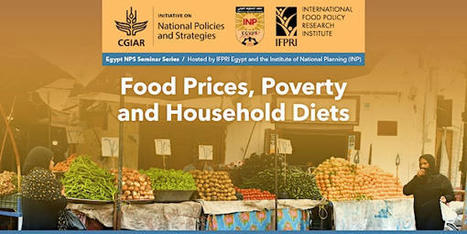 EGPYT NPS Seminar Series: Food Prices, Poverty and Household Diets Tickets, Mon, May 22, 2023  | CIHEAM Press Review | Scoop.it