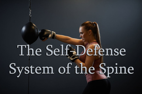 Self-Defense System of The Spine El Paso, Texas | Dr. Jimenez D.C. | Call: 915-850-0900 or 915-412-6677 | Chiropractic + Wellness | Scoop.it