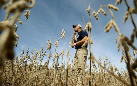 U.S. agriculture bets the farm on Chinese soy demand | L'ECHO DEMETER | Scoop.it