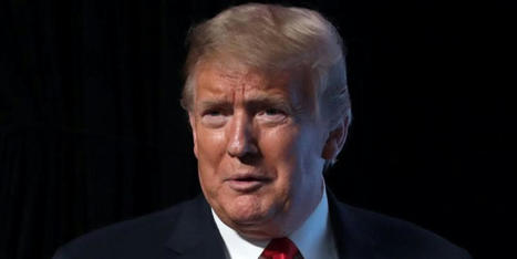 Trump calls sexual abuse victim E. Jean Carroll his 'stalker' - RawStory.com | Operation Oya | Scoop.it