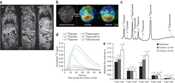 Transposon mutagenesis identifies genes driving hepatocellular carcinoma in a chronic hepatitis B mouse model : Nature Genetics : Nature Publishing Group | Genetics - GEG Tech top picks | Scoop.it