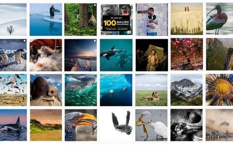 National Geographic : les plus belles photos du concours Instagram | KILUCRU | Scoop.it