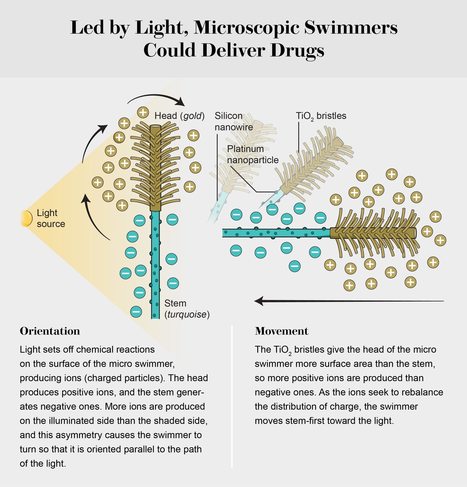 Led By Light, Microscopic Bots Could Swim through the Bloodstream to Deliver Drugs | Amazing Science | Scoop.it