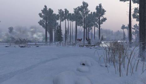 「Jacobs Pond に冬が来て・・・」@ Jacob - Second Life   | Second Life Destinations | Scoop.it