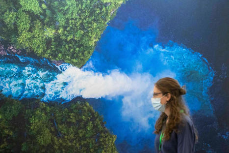 COP15&nbsp;: &agrave; Montr&eacute;al, des engagements historiques pour la biodiversit&eacute; | EntomoNews | Scoop.it