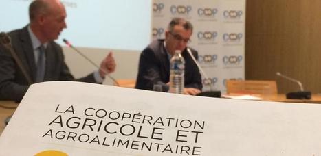 Coop de France : Les coopératives en quête de rentabilité | Lait de Normandie... et d'ailleurs | Scoop.it