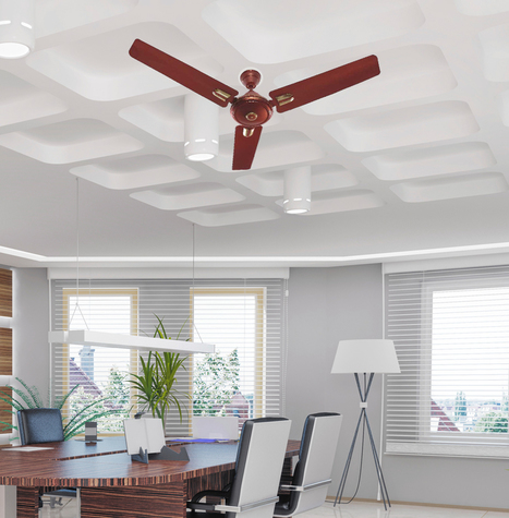 Trendy Ceiling Fans In Ortem Fans Scoop It