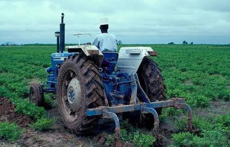 China to loan Nigeria $4.5 billion to boost agriculture | AFRIQUES | Scoop.it