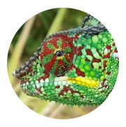 ProfSVT71 (chaîne Youtube) | Sélection de ressources - MEEF SVT | Scoop.it