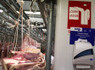 Au Québec aussi : la viande halal à votre insu | La Gazette des abattoirs | Scoop.it