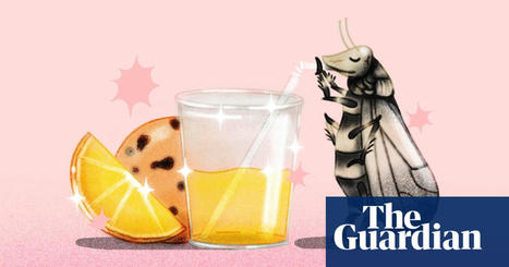 Is Florida running out of orange juice? Record prices put the squeeze on consumers | Agriculture | The Guardian | Operation Deimos | Scoop.it