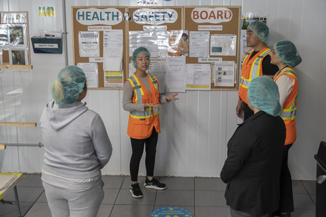 WorkSafeBC launches campaign about newcomer wor...