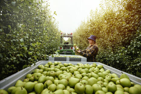 Ocapiat lance un site Internet de promotion des métiers « à forte évolution » dans l'agriculture | Prospective emploi compétence | Scoop.it