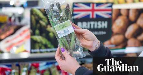 'Wonky' fruit and veg sales put Morrisons on straight path to growth | Business | The Guardian | MARKETING DIGITAL | Scoop.it