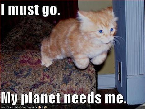 Thursday Cheezburger: Triumph of the Redheads | Lolcats | Scoop.it