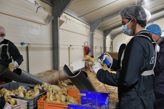 Homme et biodiversit&eacute;&nbsp;: &laquo;&nbsp;Une seule sant&eacute;&nbsp;&raquo; (One health), une approche mais aussi des actions concr&egrave;tes | Environnement - D&eacute;veloppement durable - Climat | Scoop.it