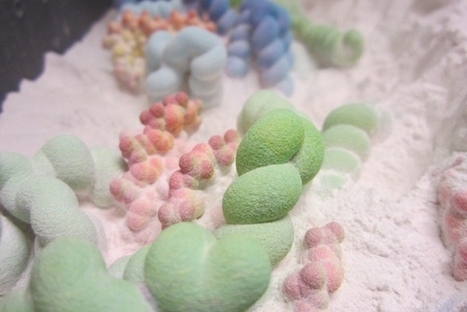 Science in three dimensions: The print revolution - 3D printers are opening up new worlds to research | Amazing Science | Scoop.it