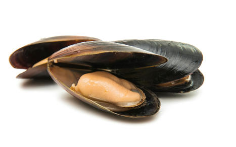 L’huile de moule bat l’huile de poisson dans la prévention de l’athérosclérose, selon une étude animale | ITERG - Veille sectorielle | Scoop.it