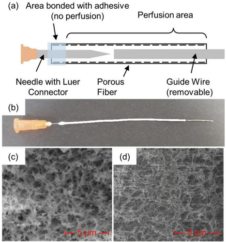 In Vitro Blood Clot Formation and Dissolution for Testing New Stroke-Treatment Devices | Neurovascular Intervention | Scoop.it