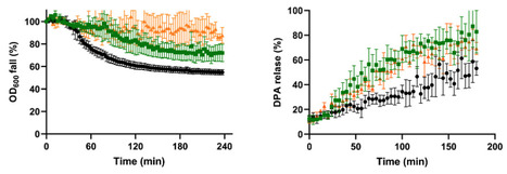 Sporulation at reduced water activity impairs germination kinetics of Bacillus subtilis spores | aem | RMH | Scoop.it