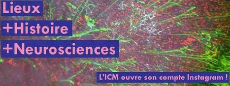 L’ICM lance son compte Instagram ! - Institut du Cerveau et de la Moelle Epinière | Médecine  Cerveau Intelligence | Scoop.it