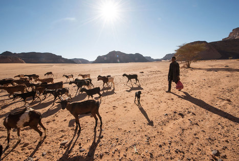Redrawing the Map: How the World’s Climate Zones Are Shifting | GTAV AC:G Y9 - Biomes and food security | Scoop.it