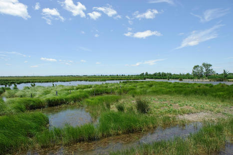 "Exercer la Gemapi dans le cadre d’une gestion globale de l’eau" : point d'étape sur les projets des 15 collectivités partenaires | Veille juridique du CDG13 | Scoop.it