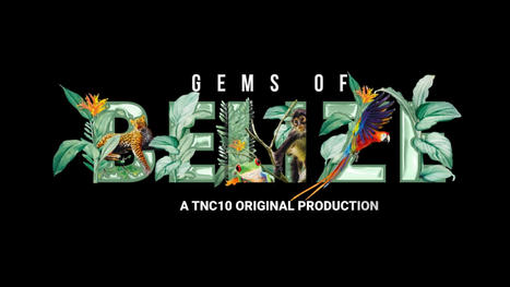 Gems of Belize Trailer | Cayo Scoop!  The Ecology of Cayo Culture | Scoop.it