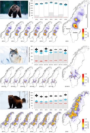 Estimating and forecasting spatial population dynamics of apex predators using transnational genetic monitoring - PNAS | Biodiversité | Scoop.it