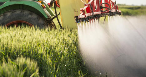 69 % c'est…la part de Français interrogés qui identifient les pesticides parmi les situations les plus risquées, en troisième position après le cancer (76 %) et la drogue (74 %). | Planète DDurable | Scoop.it