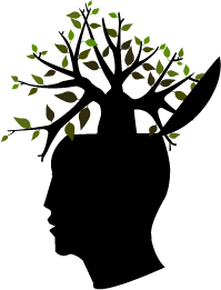 The Science of How Music Enchants the Brain, Animated | Music Music Music | Scoop.it