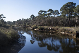 Parc d&rsquo;hiver &agrave; Mimizan&nbsp;: fin du bras de fer judiciaire avec les associations environnementales, mais le d&eacute;bat sur l&rsquo;urbanisation continue | Actus du jour - 13  janvier 2026 | Scoop.it