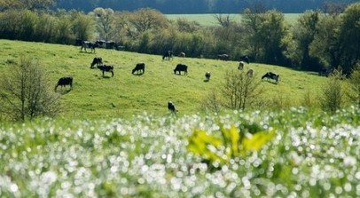 Usages et alternatives au glyphosate dans l'agriculture française | Les Colocs du jardin | Scoop.it