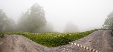 The Key to Making Better Decisions? Self-Editing | TheBottomlineNow | Scoop.it