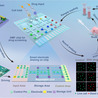 In-Vitro Diagnostic