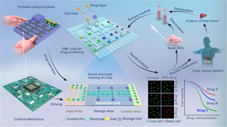 Drug screening on digital microfluidics for cancer precision medicine&nbsp; | In-Vitro Diagnostic | Scoop.it
