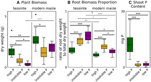Phosphate Availability Modulates Root Exudate C...