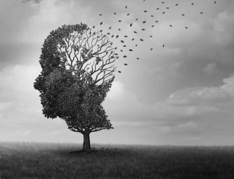 The Link Between Diabetes and Dementia | Diabetes Knowledge | Scoop.it