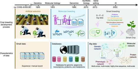 L’intelligence artificielle et les mégadonnées transforment la sélection variétale - Veille CEP | Pour innover en agriculture | Scoop.it