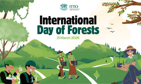 Forests power economies: Growing prosperity from the roots up | ITTO | The International Tropical Timber Organization | &Eacute;cosyst&egrave;mes Tropicaux | Scoop.it