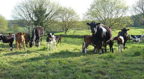 Agro&eacute;cologie&nbsp;: les innovations du collectif &laquo;&nbsp;Explorons la diversit&eacute;&nbsp;&raquo; | Minist&egrave;re de l'Agriculture et de l'Alimentation | TRANSITION AGROECOLOGIQUE : PRATIQUES ET POLITIQUES AGRICOLES | Scoop.it