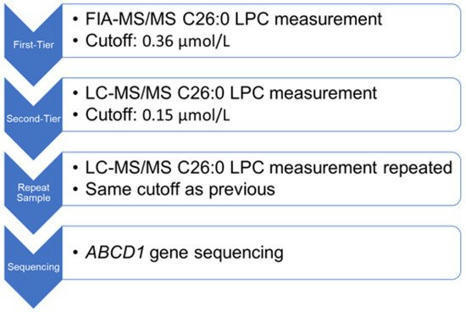 IJNS | Newborn Screening for X-Linked Adrenoleukodystrophy: Review of Data and Outcomes in Pennsylvania | dépistage néonatal | Scoop.it
