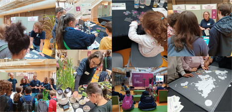 French National Science Fair 2026 /&nbsp;F&ecirc;te de la Science 2026 | Plant Sciences | Scoop.it