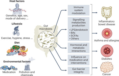 The gut microbiome and cancer: from tumorigenesis to therapy | Nmeta | RMH | Scoop.it