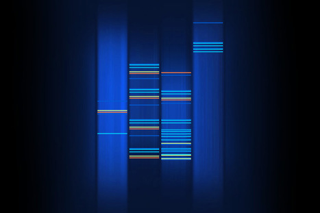 WEB2DNA - Convert your website into DNA art | Concrete_Digital_Footprints | Scoop.it