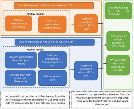 IJNS | Modelling the Cost-Effectiveness and Budget Impact of a Newborn Screening Program for Spinal Muscular Atrophy and Severe Combined Immunodeficiency | dépistage néonatal | Scoop.it