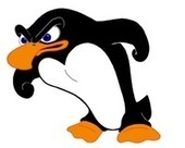 Penguin 2.0 Losers: Porn Sites, Game Sites, & Big Brands Like Dish.com & The Salvation Army | Public Relations & Social Marketing Insight | Scoop.it