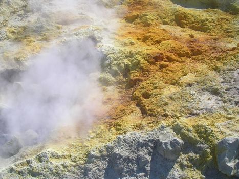 Origine de la vie : une importante pi&egrave;ce du puzzle a peut-&ecirc;tre &eacute;t&eacute; trouv&eacute;e | EntomoScience | Scoop.it