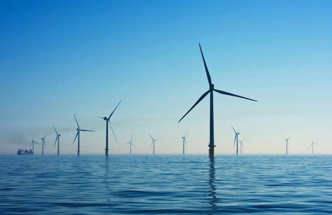 Is the climate for environmental claims changing? | The regulatory insider | Scoop.it