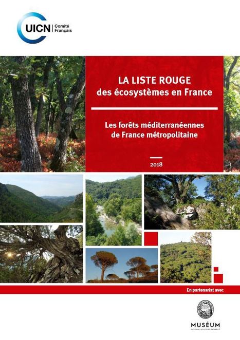 La liste rouge des écosystèmes en France - Les forêts méditerranéennes de France métropolitaine - 2018 | Insect Archive | Scoop.it